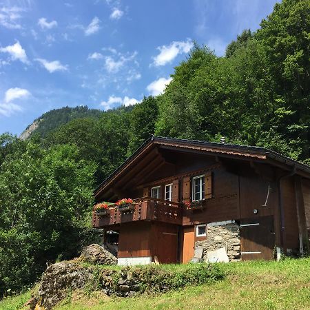 Chalet Julian Lutschental Exterior foto